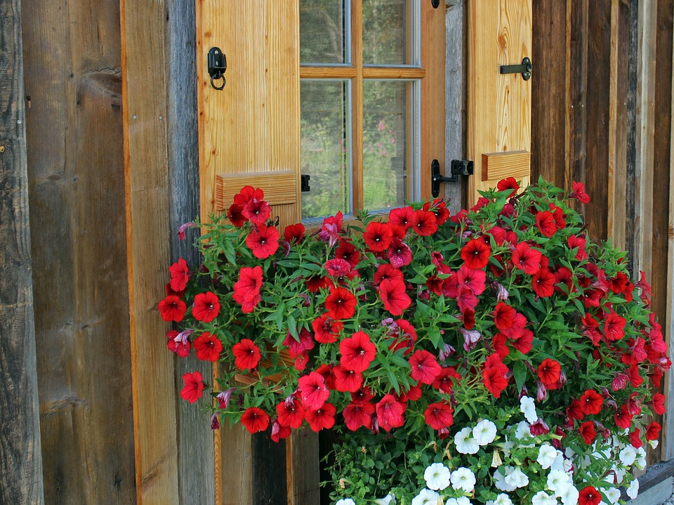 decorar ventanas con flores