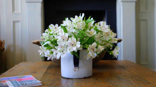 Dedicar Línea de metal abolir Elige las mejores flores para decorar tu casa en verano! | Flores a  domicilio - Floristería Flores4you