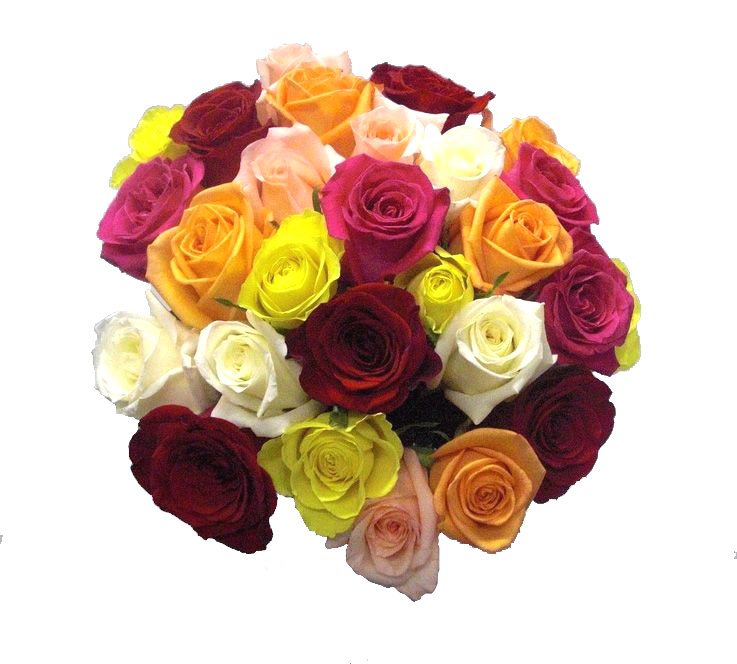 Bouquet Multicolor de 30 Rosas