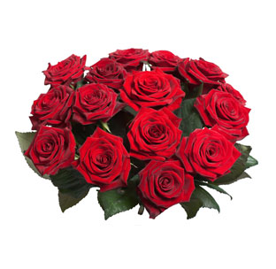 Bouquet de Rosas Rojas (15/24)