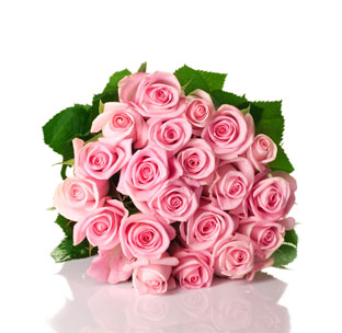 Bouquet de Rosas Rosas (15/24)